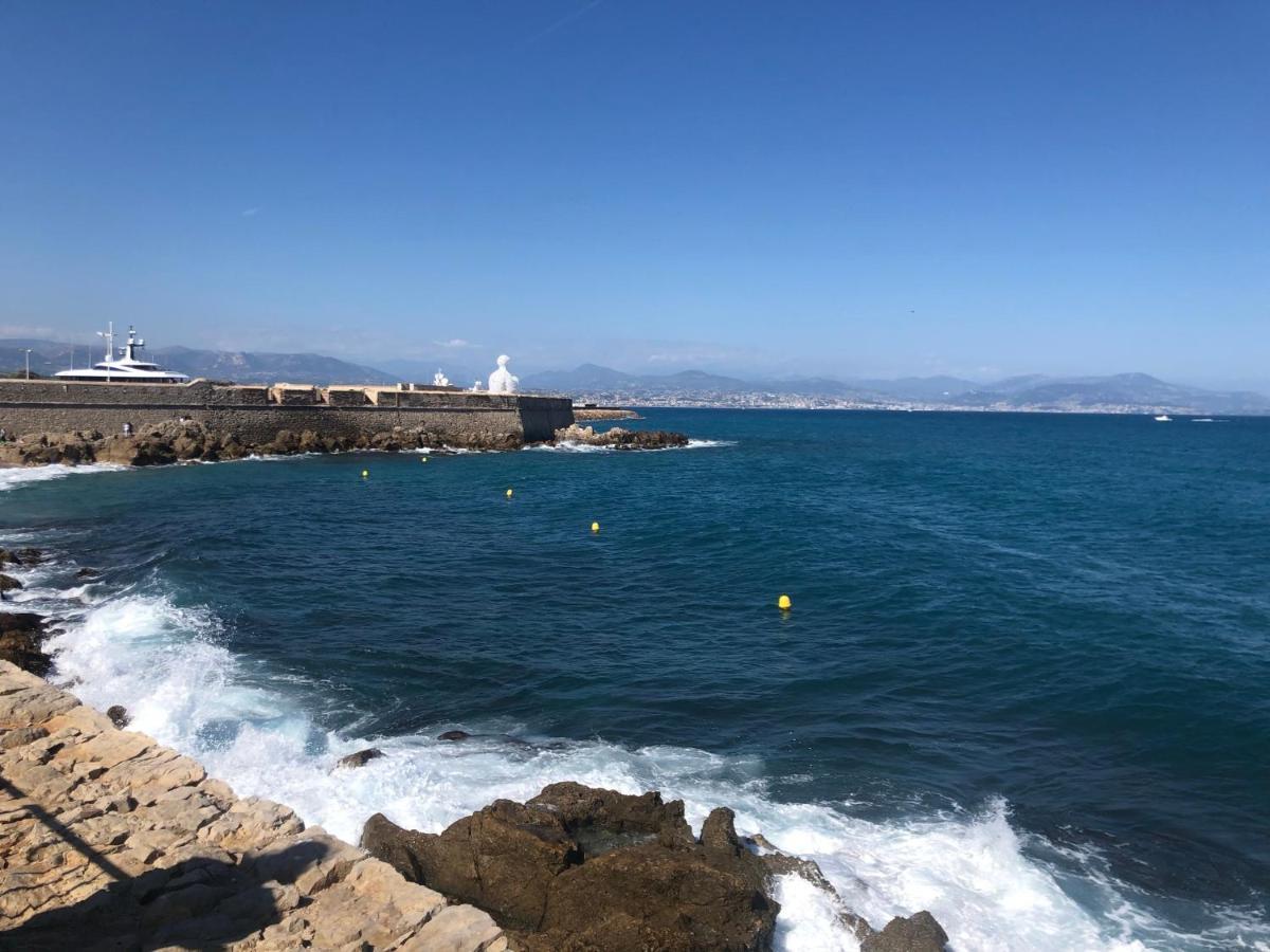 Vieil Antibes, Ravissant 2P Avec Petite Terrasse Exterior foto